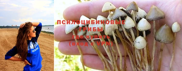 МДПВ Армянск