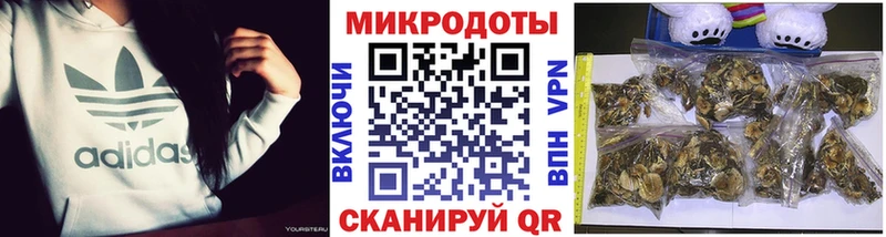 Галлюциногенные грибы мицелий  Опочка 